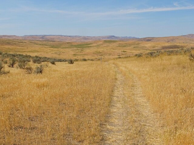 Oregon Trail Remnant